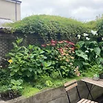 Bed and breakfast Mulgrave Dun Laoghaire