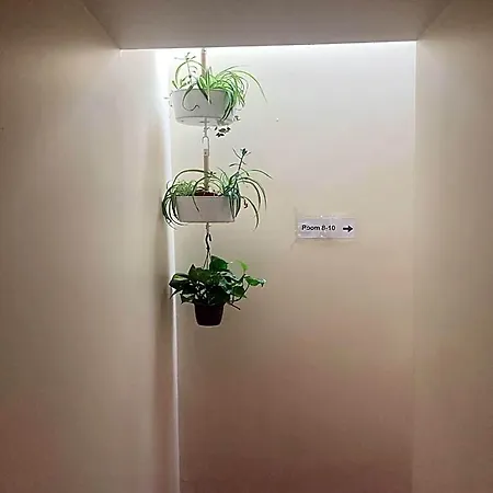 Отель типа 