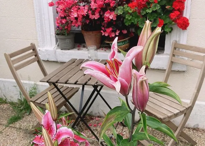 Mulgrave Oda ve Kahvaltı Dun Laoghaire